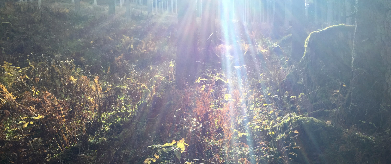 Herbst-Motiv