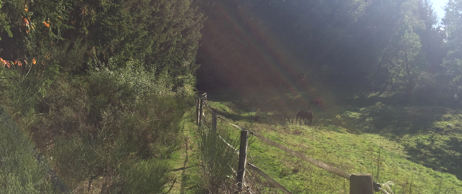 Herbst-Motiv