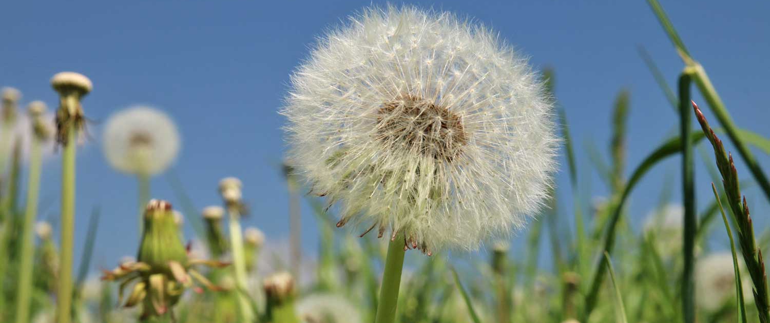 2025-07-18-drjj-sommerbilder-03