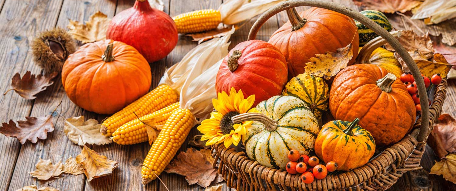 Herbstthema mit Kürbis-Korb und Mais zum Erntedankfest